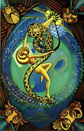 card-24